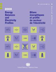 2009 Energy Balances and Electricity Profiles, Series: W, No.18