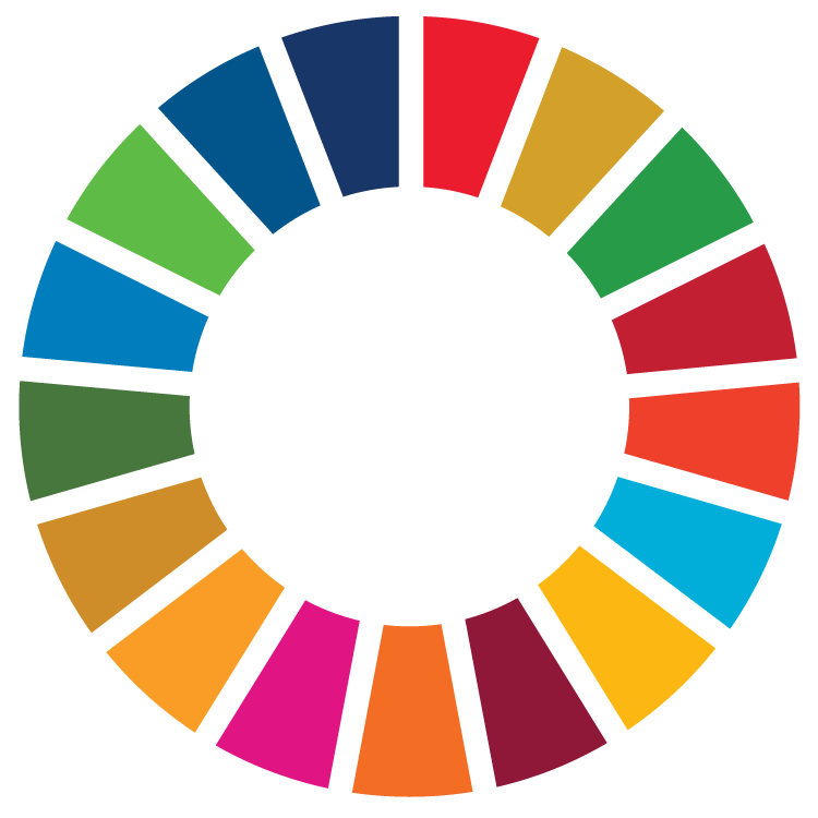 E-Handbook on SDG Indicators