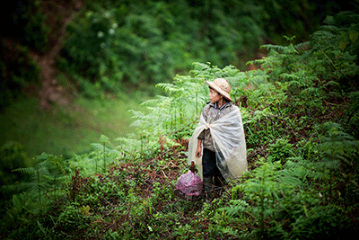 Protecting and restoring habitats to benefit freshwater biodiversity