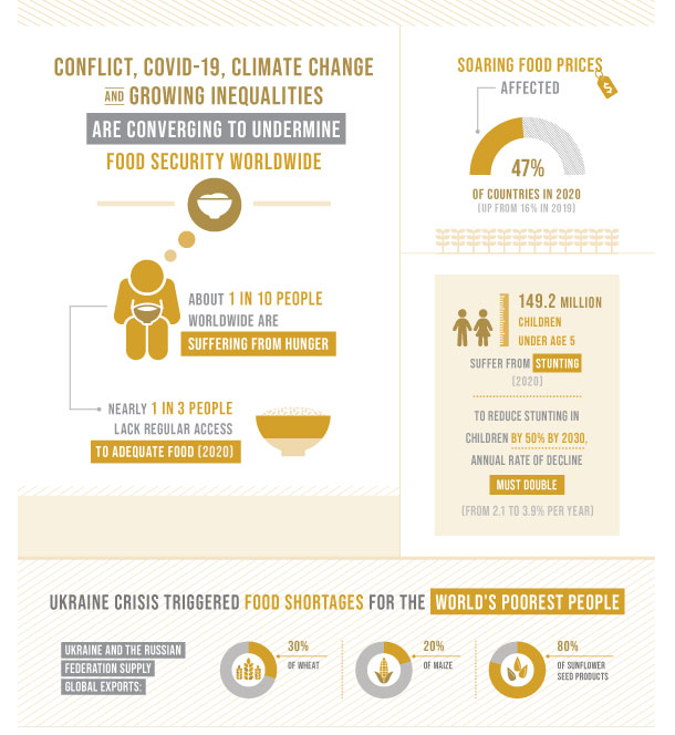 Image result for Climate Crisis: Threat to Food Stability infographics