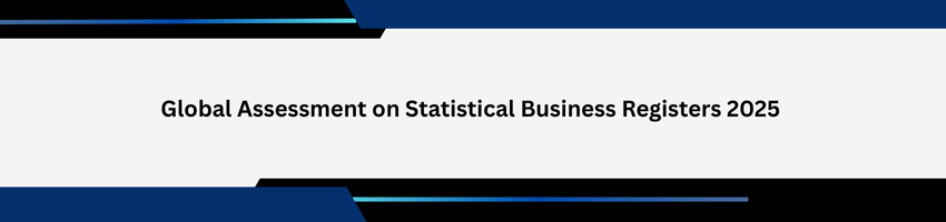 Global Assessment on Statistical Business Registers