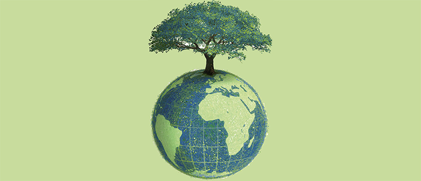 Image result for environment